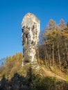 Limestone monadnock Maczuga Herkuklesa near Cracow, Poland Royalty Free Stock Photo